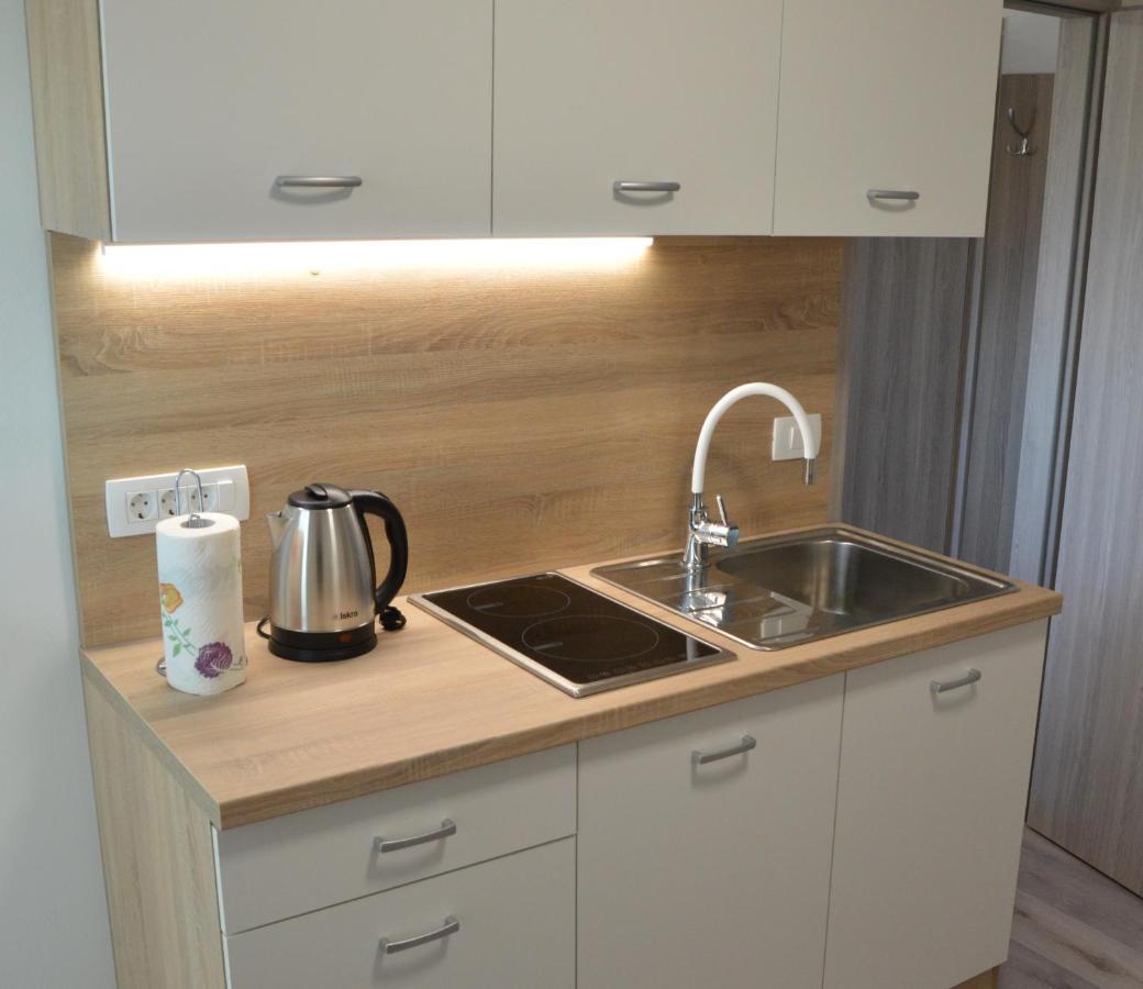 Apartma Vila Zigmund Cerknica Kültér fotó